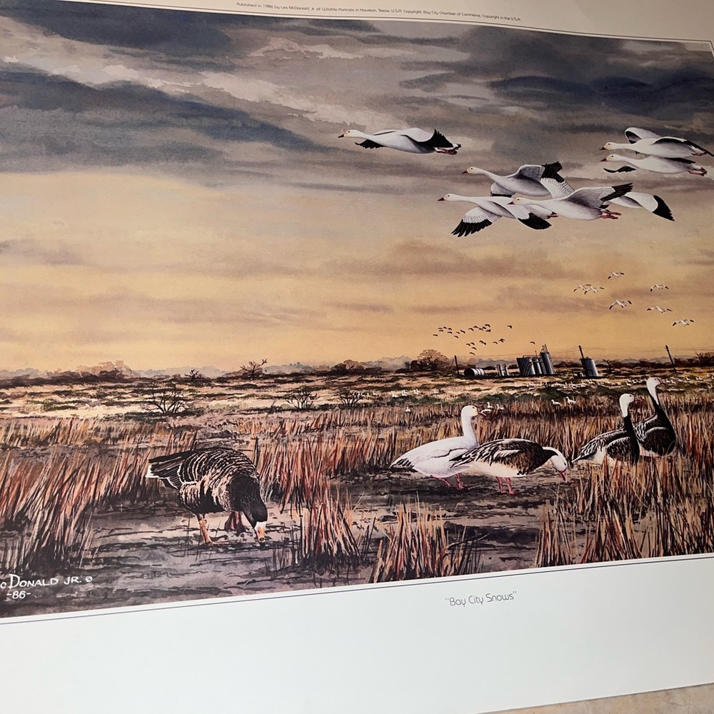 Painting print ( Bay city Snows- Les McDonald Jr)